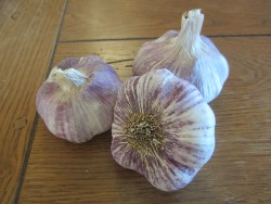 garlic Basque