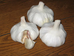 Shilla Garlic