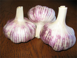 Maiskij Garlic